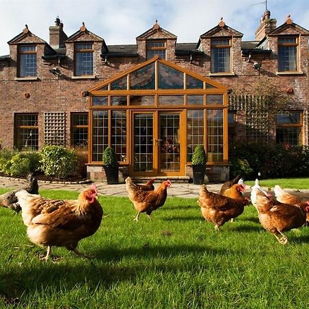 Blackwell House Banbridge Ngoại thất bức ảnh